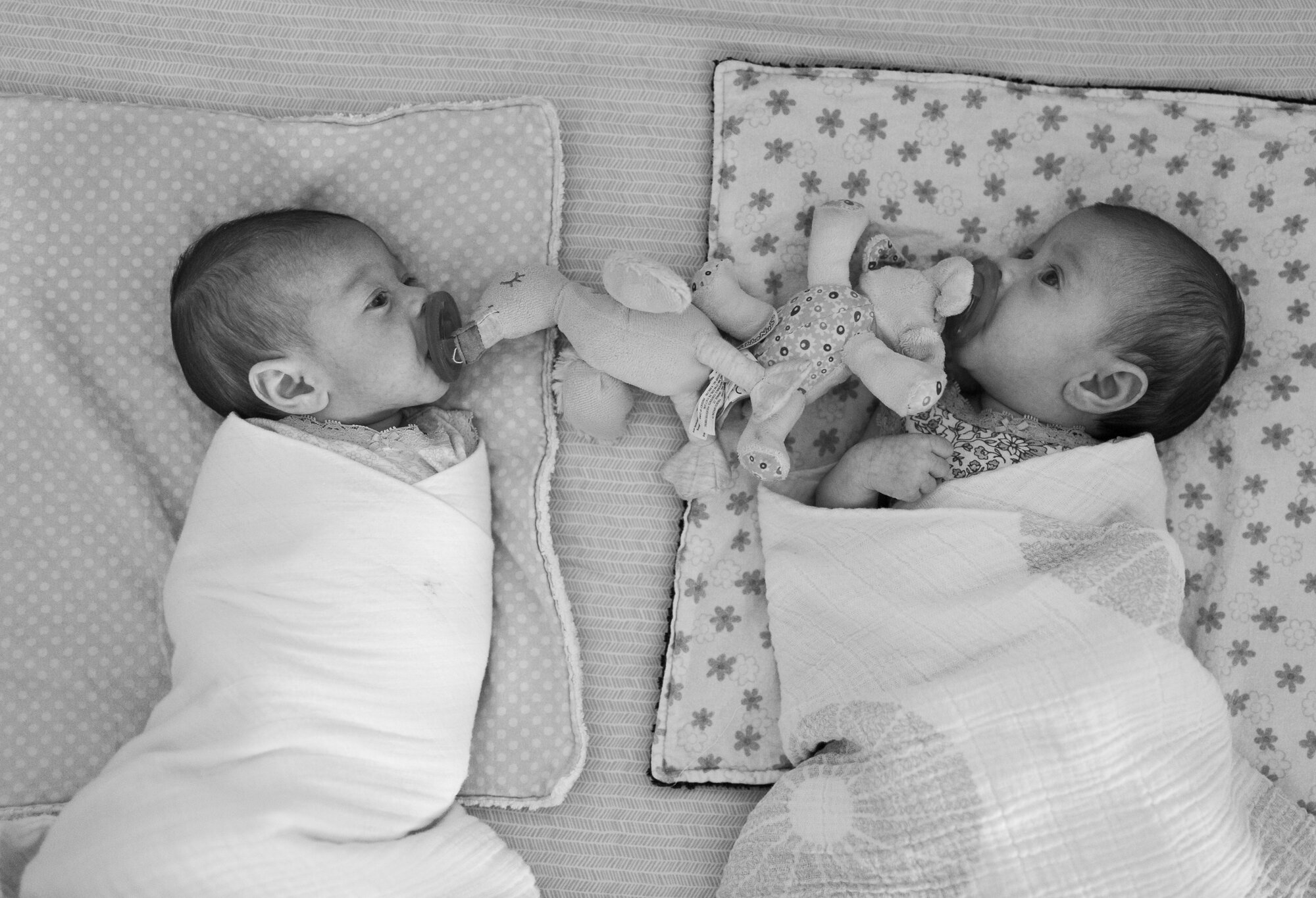 black and white photo of newborn baby twins swaddled in crib