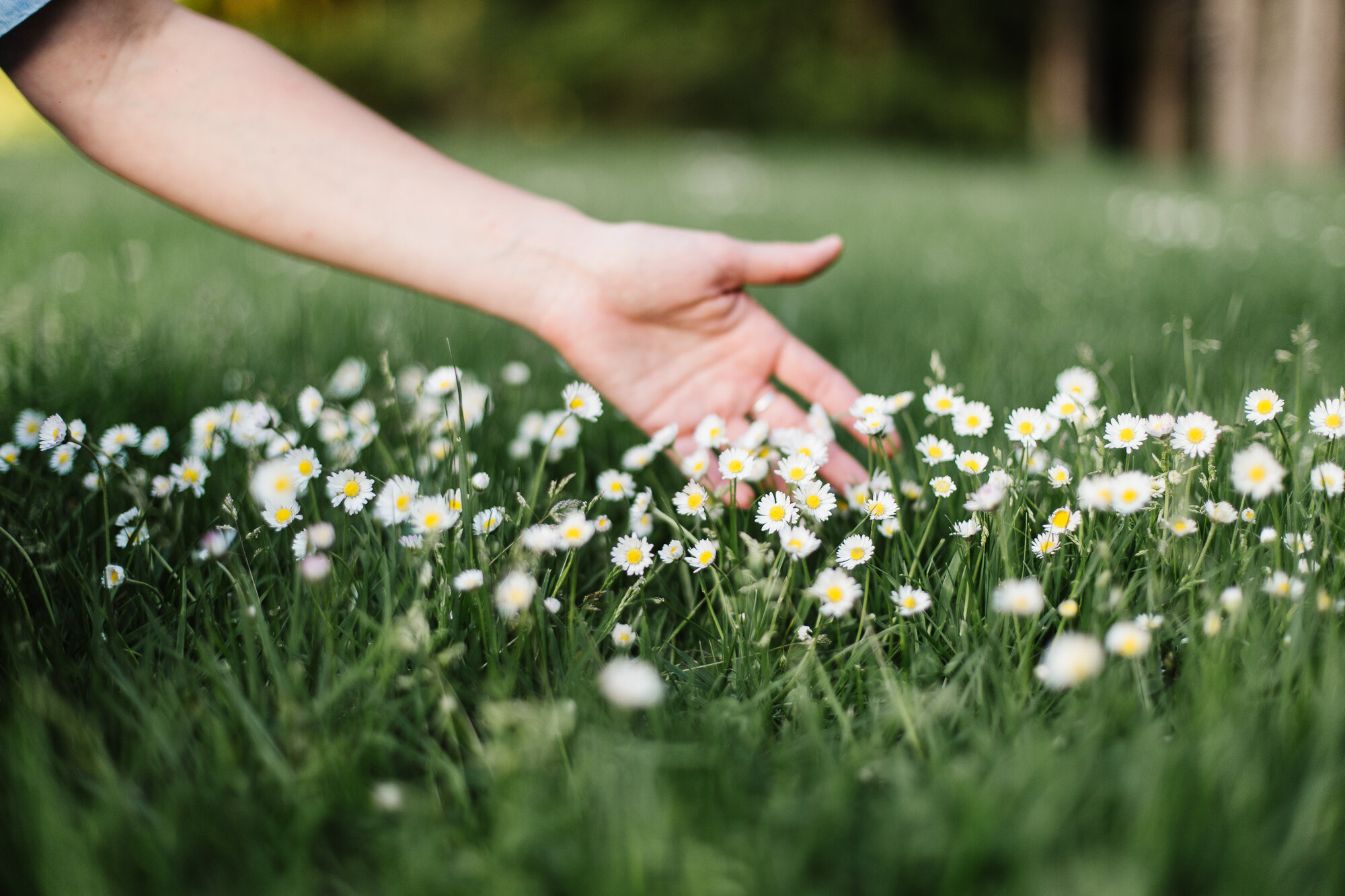 Hand reaching out to touch flowers | Free and relaxed Spring photography session in Shawnigan Lake | Kristen Turner MacDonald creative branding photo session for professionals